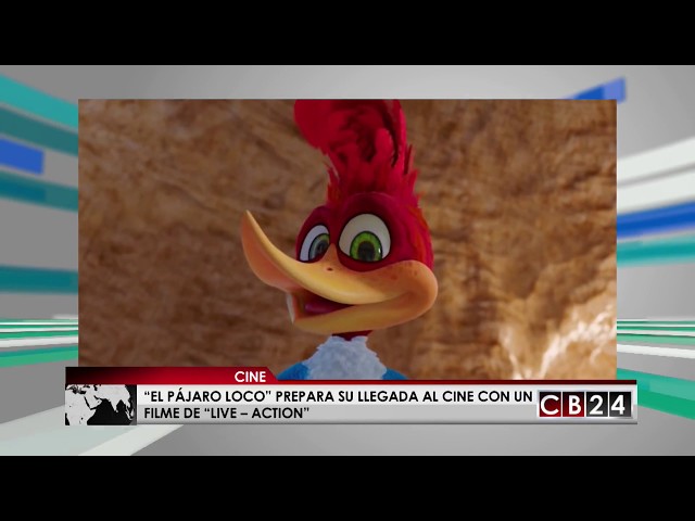 El Pájaro Loco: Universal se prepara para el estreno del live action – ANMTV