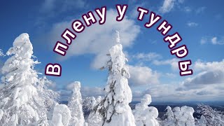 Блатняк авторская  песня .В плену у тундры.Стехи и аранжировка  Сергей Пушин.