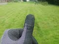 Trimming this forest