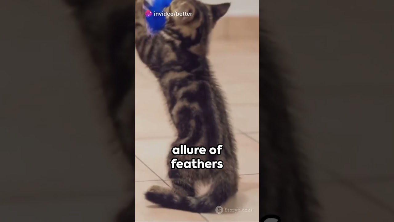 Kitty's Paradise  Top Catnip Toys