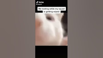 Posting random videos in my camera role day 1