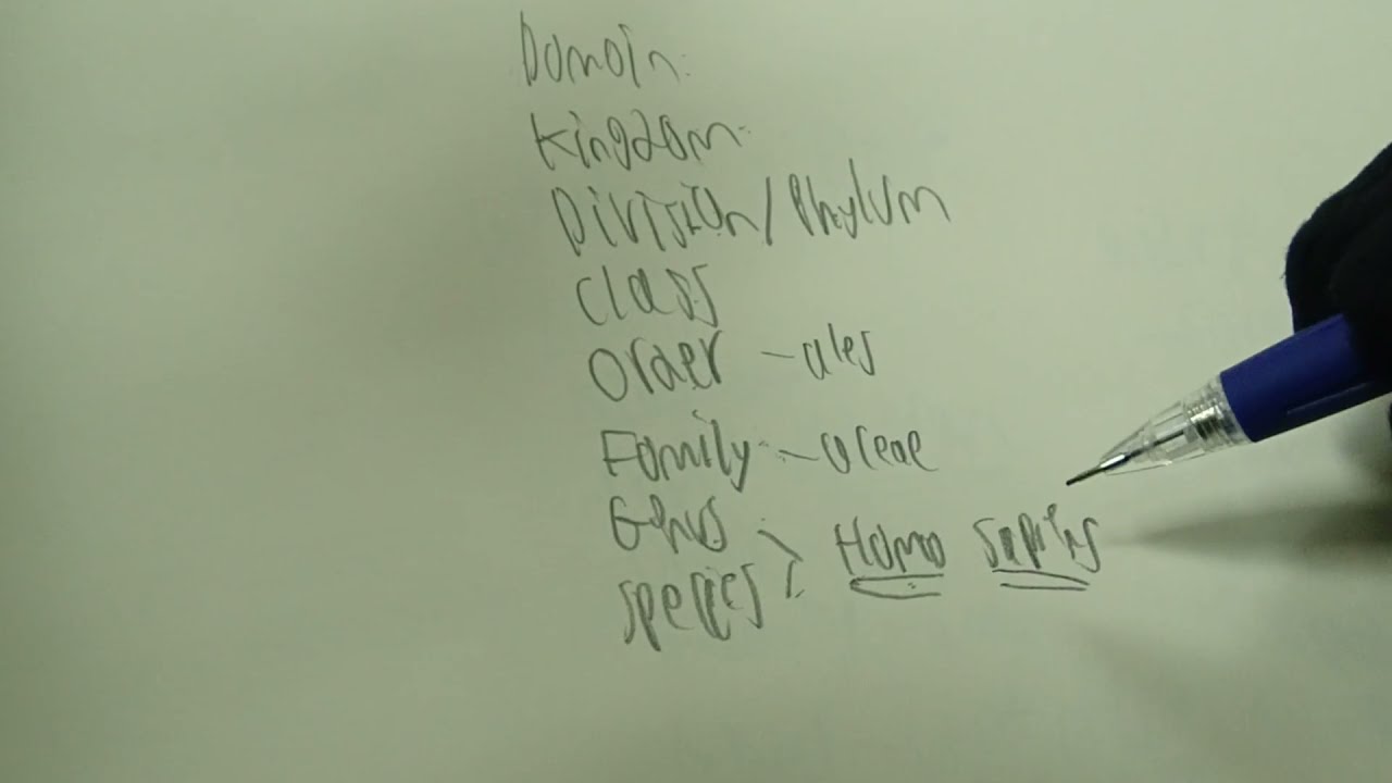 ASMR Botany Part 1: Terms and Definitions(Attention to detail, scribbly writing)