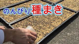 【米作り⑥】種まき日和でのんびり作業