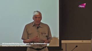 20180704-2 - IAS Extended Workshop by Professor Stephen SMALE