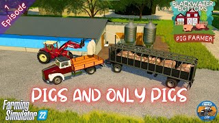 PIGS AND ONLY PIGS - Pig Farmer Series - Episode 1 - Farming Simulator 22
