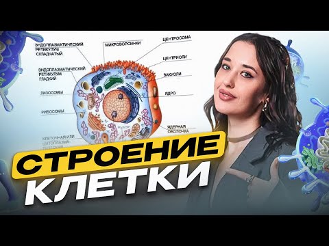 Cell Structure for the OGE Biology Exam in 10 Minutes / How to Easily and Quickly Memorize Cell S...
