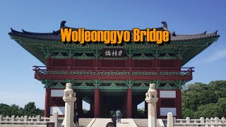 Woljeonggyo Bridge | PINOY EPS WORKER IN SOUTH KOREA by Kim Shin TV 906 views 1 year ago 13 minutes, 31 seconds