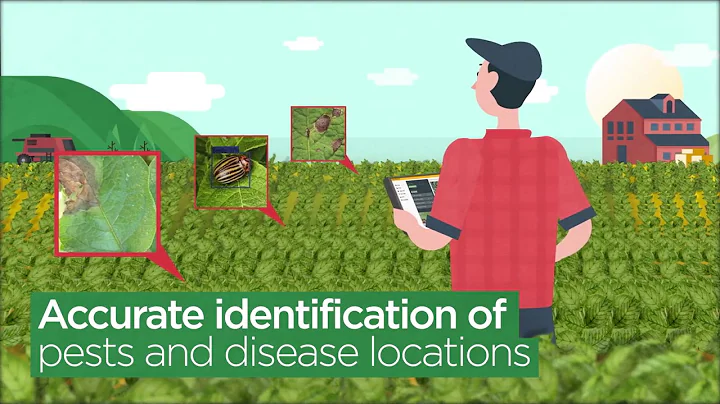 Agroscout  - Simple to Use Video