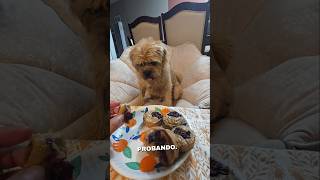 Banana and blueberry muffins 🍌🫐 for dogs 🐕💕🥰 #pets