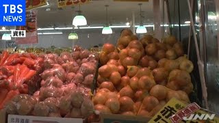 じゃがいも・たまねぎは高値で推移 １０月の野菜価格見通し