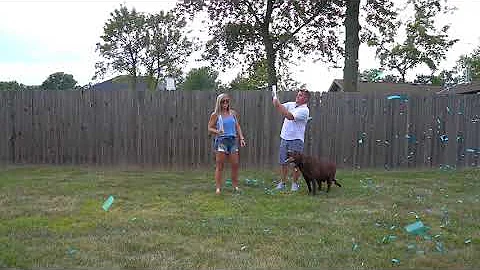 Buskirk Gender Reveal
