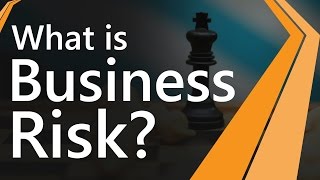 what is business risk| Quadrants of Business Risk | Business Terms & videos | SimplyInfo.net