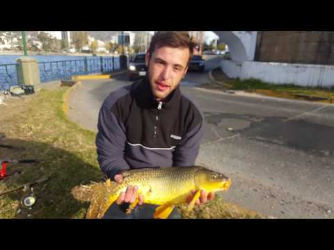 Video: La Sabiduría De La Pesca De Invierno