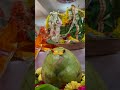 Sri Rama Navami 🙏 Celebrations 💐 Vamsee Thaangam #shorts #funny #vamseethaangam
