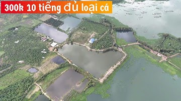 ✅ Thử thách 25h câu cá chép, rô phi, trắm, hồ bán thiên nhiên 40.000m2 | DUY FISHING SAI GON