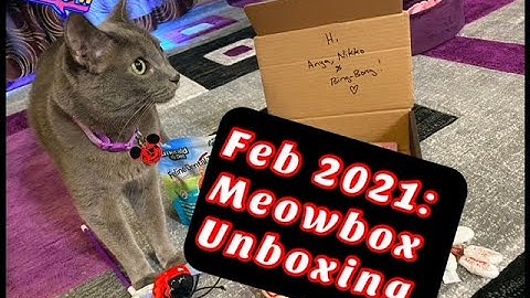 Meowbox Unboxing! (Feb 2021 Box)