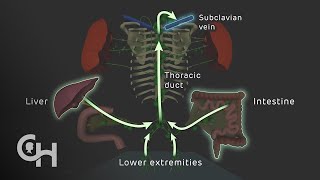 Protein-Losing Enteropathy (PLE) Resimi