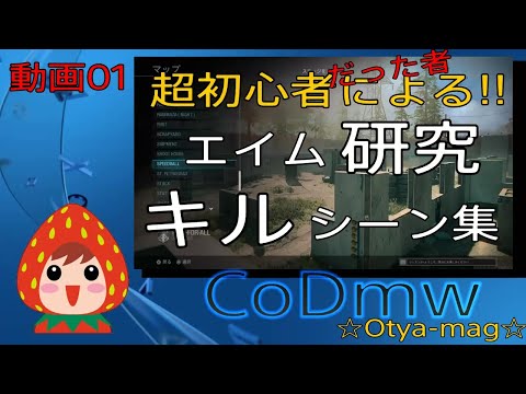 初心者がエイムについて考えながら敵をキルするキル集です！【cod mw】【Otya‐mag1029】