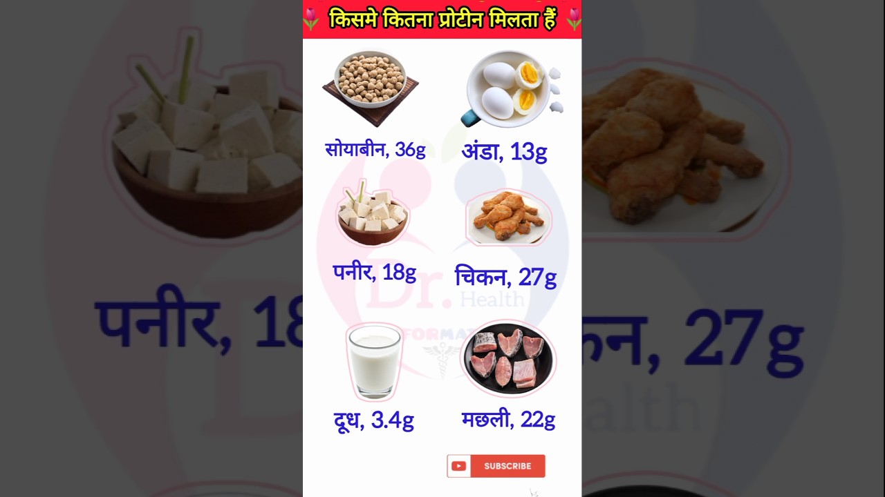 किसमे कितना प्रोटीन मिलता हैं  | Paneer,egg,milk 
