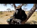 MADEMU WABONGO NI WATAMU MADEMU WABONGO NI WATAMU