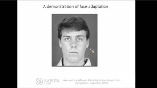 Adaptation and Individual Differences in Visual Perception | Dr. Michael Webster