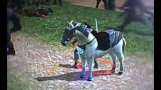 metin2.us.avi