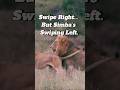 When Simba Not In The Mood ЁЯШЕЁЯШВ LionLifeStruggles Funny Funnyanimals When Simba Not In The Mood ЁЯШЕЁЯШВ LionLifeStruggles Funny Funnyanimals