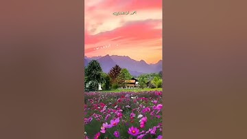 تلاوة مباركة من سورة النحل . القاريء عمار العبيدي