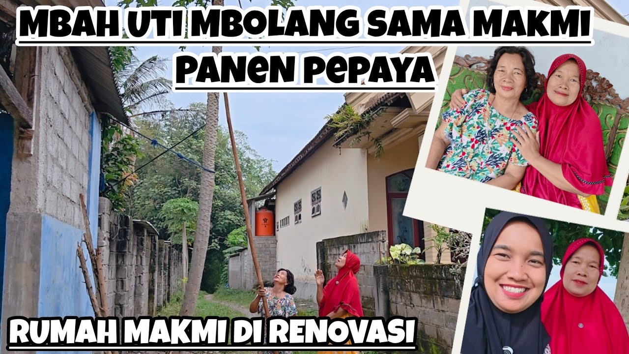 MBAH UTI MBOLANG SAMA MAKMI PANEN PEPAYA‼️RUMAH MAKMI DI RENOVASI LEBARAN SUDAH CANTIK‼️