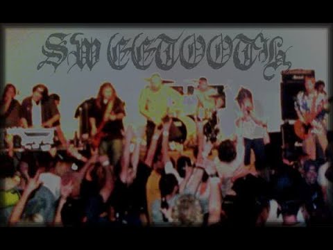 Watch Sweetooth - Maggots on YouTube Watch Sweetooth - Maggots on YouTube