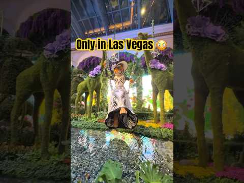 🟡 Las Vegas | Westgate Hotel & Casino Legendary entertainers, some of the largest rooms in town!