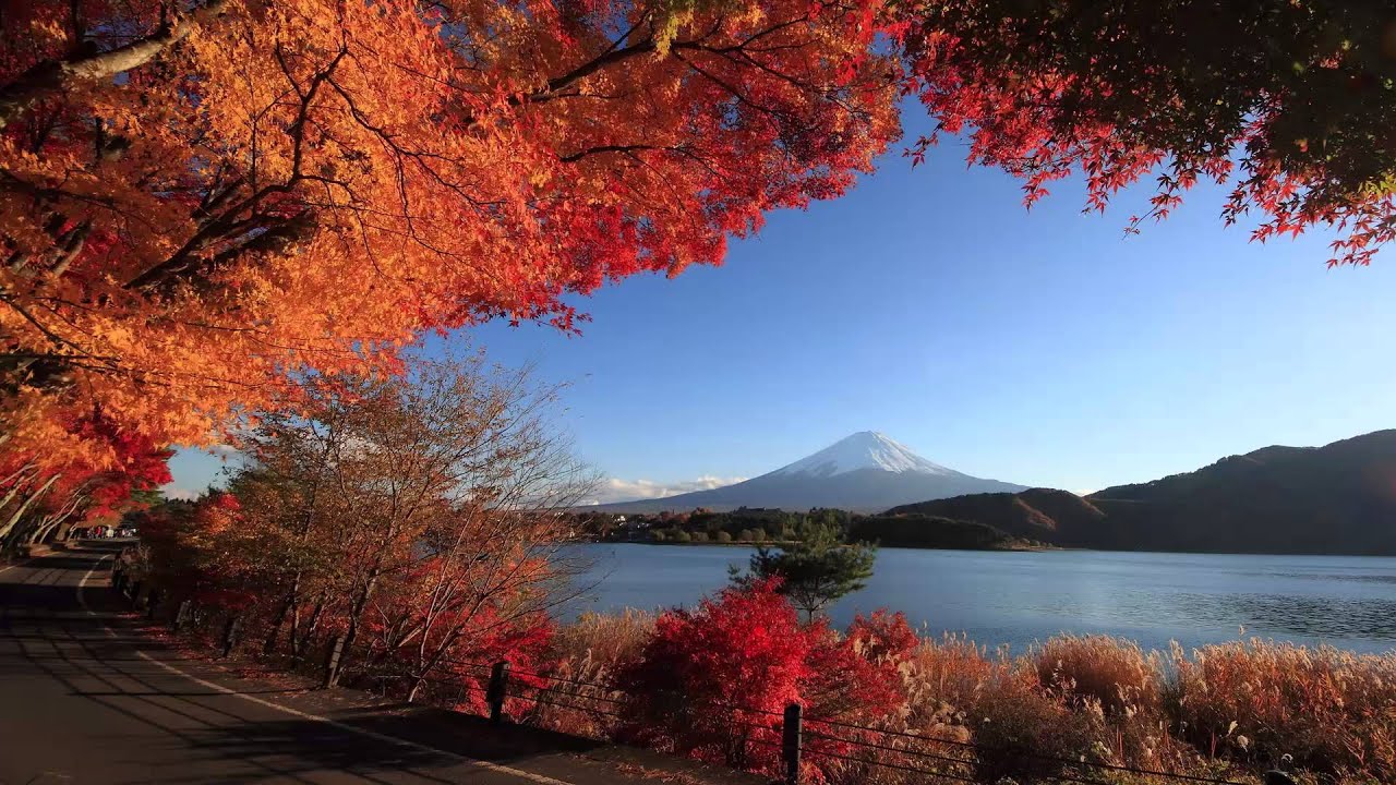 DJ JD-CALVIN HARRIS-SUMMER [Ultra Slowed] (Bass Boosted)