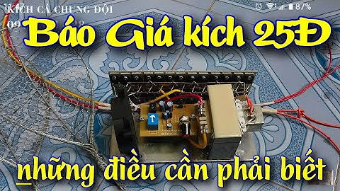 Báo Giá Kích Cá 25Đ, Kích Cá Rô Phi Và Những Vấn Đề Cần Được Giải Quyết - Kích Cá 25d Chung Đội