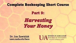 Part 9: Harvesting Your Honey