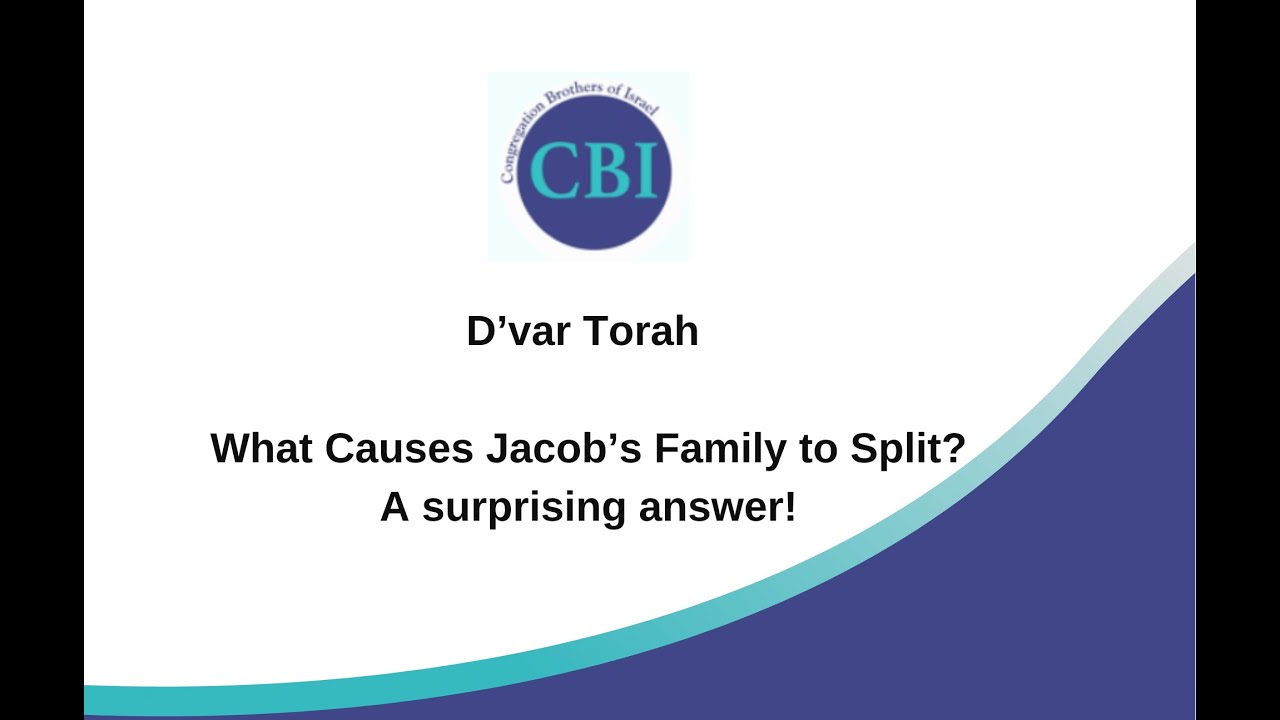 D'var Torah - What Causes Jacob’s Family to Split? A surprising answer!