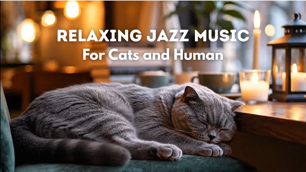 Relaxing Jazz Music for Cats | Cozy Jazz Instrumental for Calm, Sleep & Stress Relief