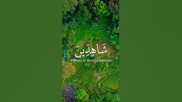 وداود وسليمان إذ يحكمان في الحرث) بصوت الشيخ عبد الباسط عبد الصمد تلاوه نفوق الخيال