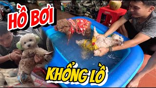 A SEN CHƠI LỚN MUA CHO SU BÔNG "HỒ BƠI KHỔNG LỒ"