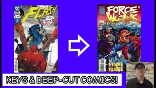 Inside a real 50,000-piece comic book collection | Flash Vol 5 - Force Works (Box 66)