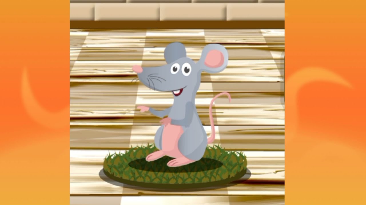 animals sounds names in english YouTube animals sounds names in english YouTube