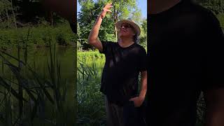 Water Medicine #shorts #water #medicine #life #waterislife #healing #peace #love