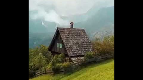 والله يريد أن يتوب عليكم// حالات واتس اب قران// بصوت مؤيد المزين// حالات واتس اب دينية// تلاوة مؤثرة