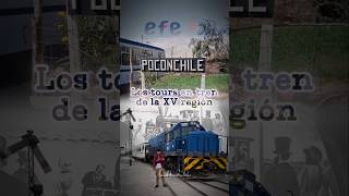 Los 𝘁𝗼𝘂𝗿𝘀 en 𝘁𝗿𝗲𝗻 de la región 𝗱𝗲 𝗔𝗿𝗶𝗰𝗮 𝘆 𝗽𝗮𝗿𝗶𝗻𝗮𝗰𝗼𝘁𝗮 #tren #tour #chile #arica #turismo