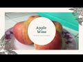 Homemade apple wine  without using a blender  stem 1210 flores alaiza mae b