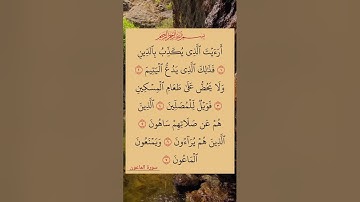 سورة الماعون القارئ صلاح بو خاطر🥰 #اكسبلور #الله #duet #دويتو #fyp #foryou #funny #allah #quran#لايك