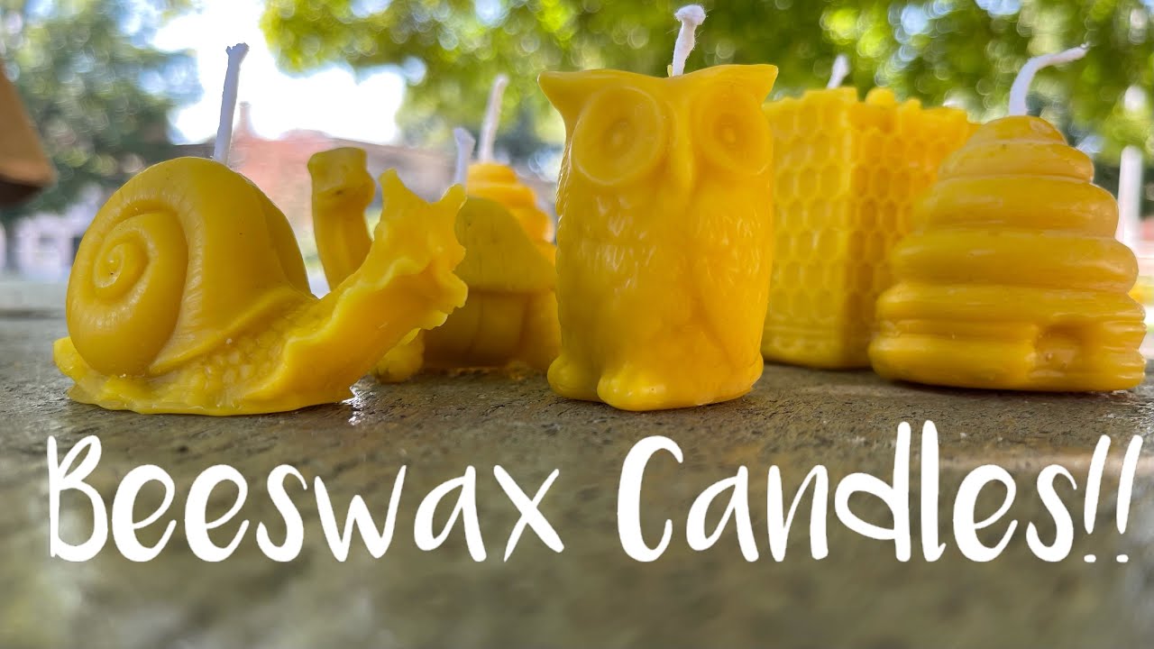 Increase your with 100 percent pure BEESWAX candles!!! YouTube