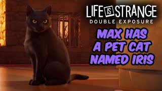Life is Strange Double Exposure - Max found a Pet Black Cat