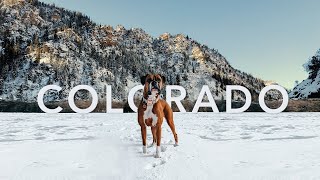 Road Trip With My Dog To Colorado 🏔 ASPEN, CO | Dog Vlog 🐾 by Roxie Boxie 381 views 1 year ago 4 minutes, 21 seconds