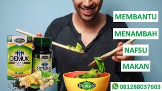 Download Lagu TAMBAH 081288037603 NAFSU MAKAN ANDA DENGAN KAPSUL HERBAL TERMURAH MP3