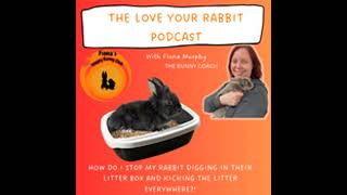 #3 - HOW DO I STOP MY RABBIT DIGGING IN THEIR LITTER BOX AND KICKING THE LITTER EVERYWHERE?!